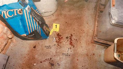 alex murdaugh crime scene photographs|Murdaugh Murders: Crime Scene Photos Shown in Court